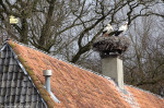 Havezathe Het Everloo